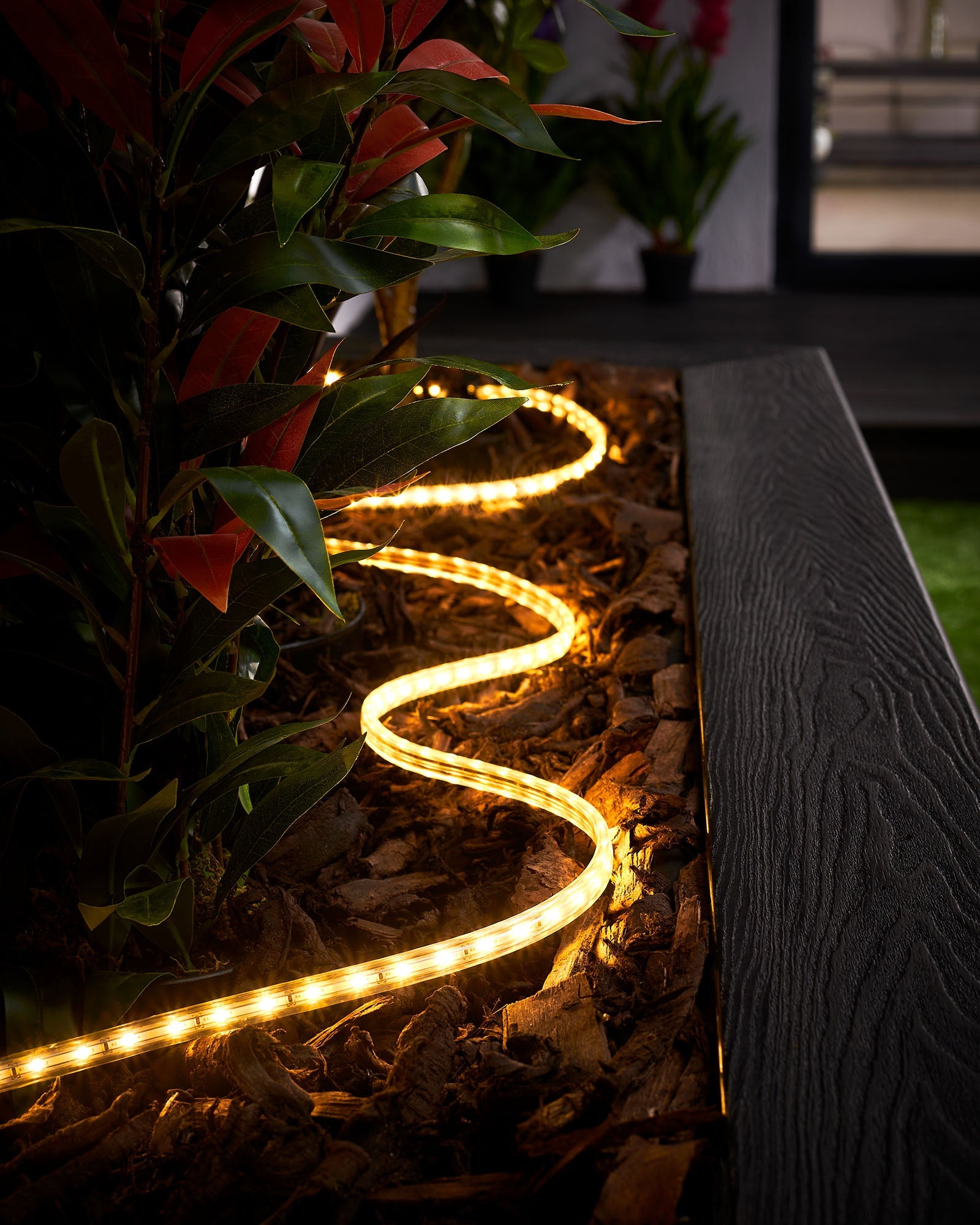 Christmas Strip Lights - Pro Series