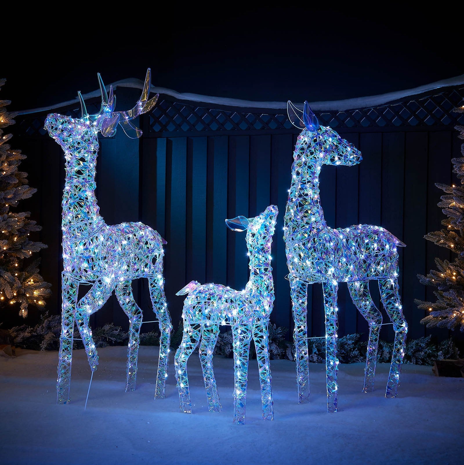 Outdoor Reindeers