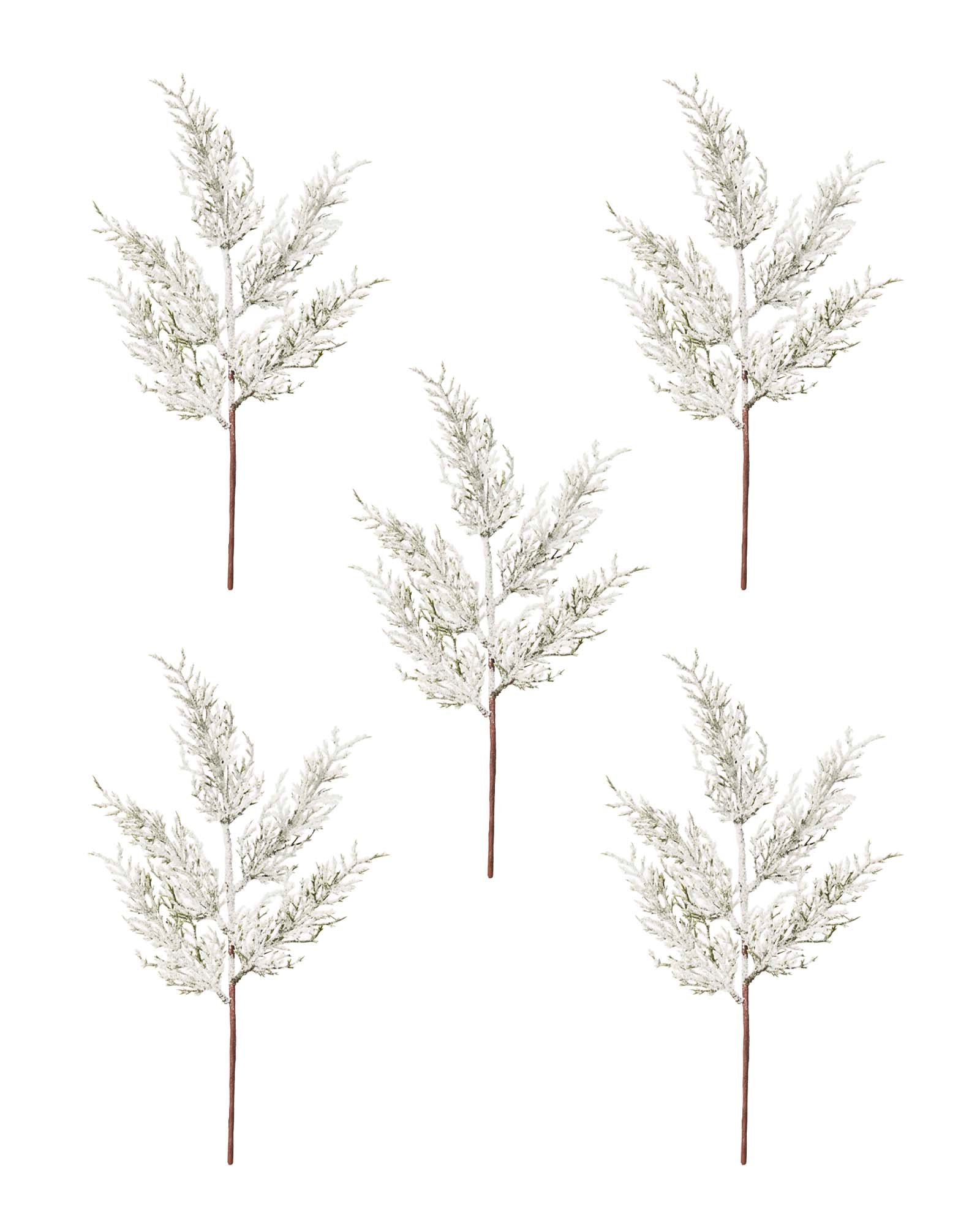 Set of 5 Snow-Flocked Cypress Picks, 40 cm