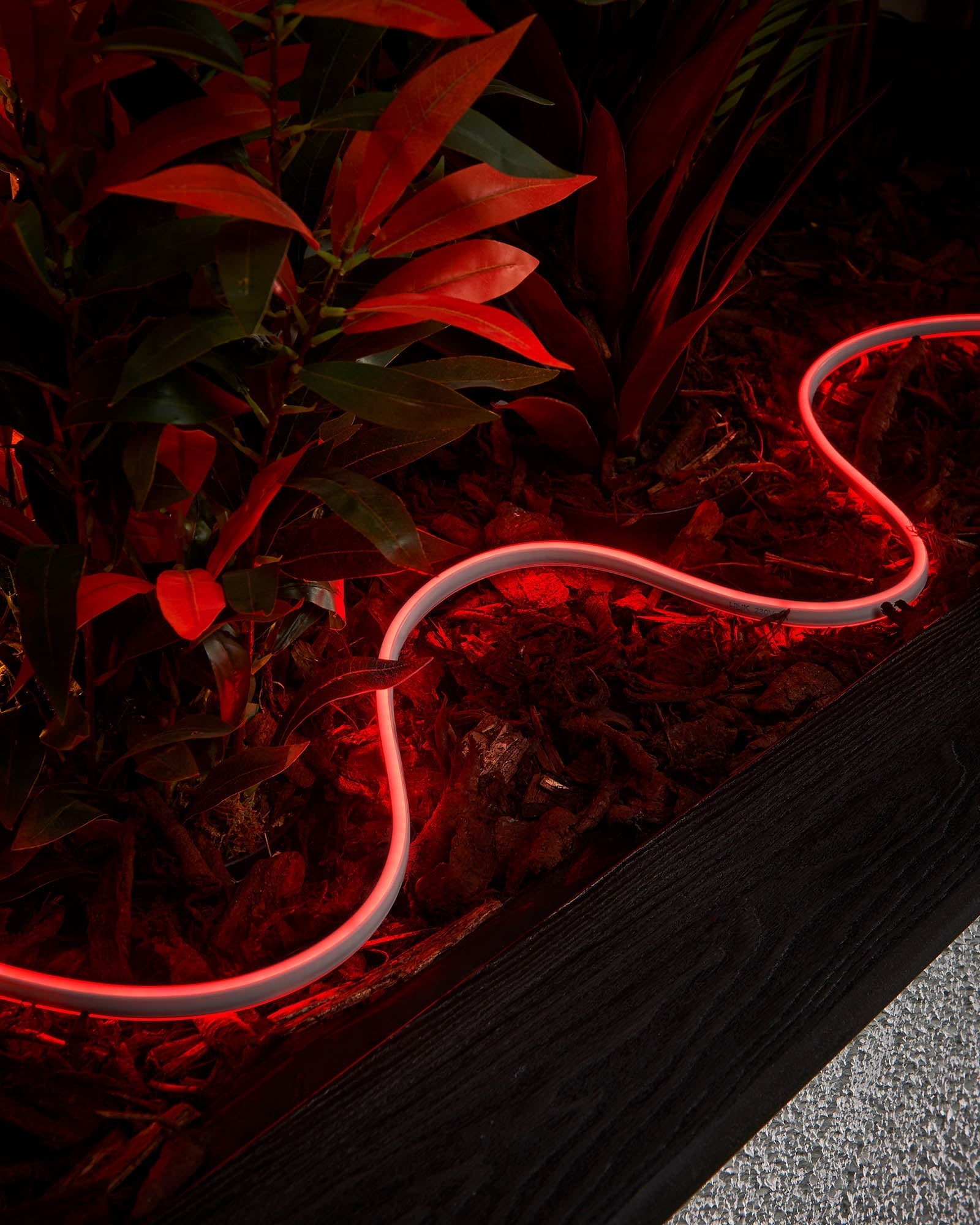 Pro Series Connectable Neon Flex, Made to Measure, Red