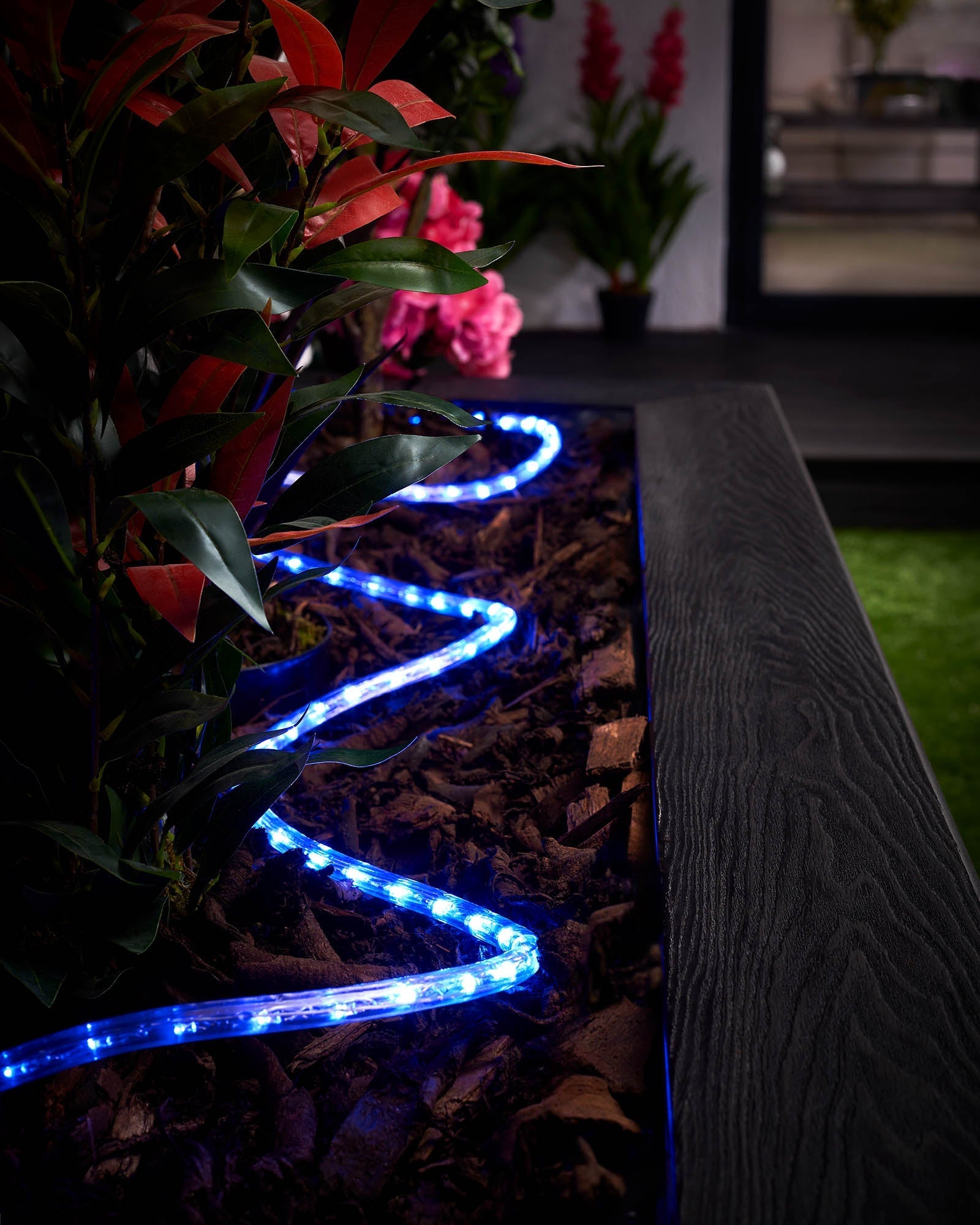 A segment of a blue LED rope light placed outdoors, likely in a garden setting, showing bright LED lights along a flexible cord.