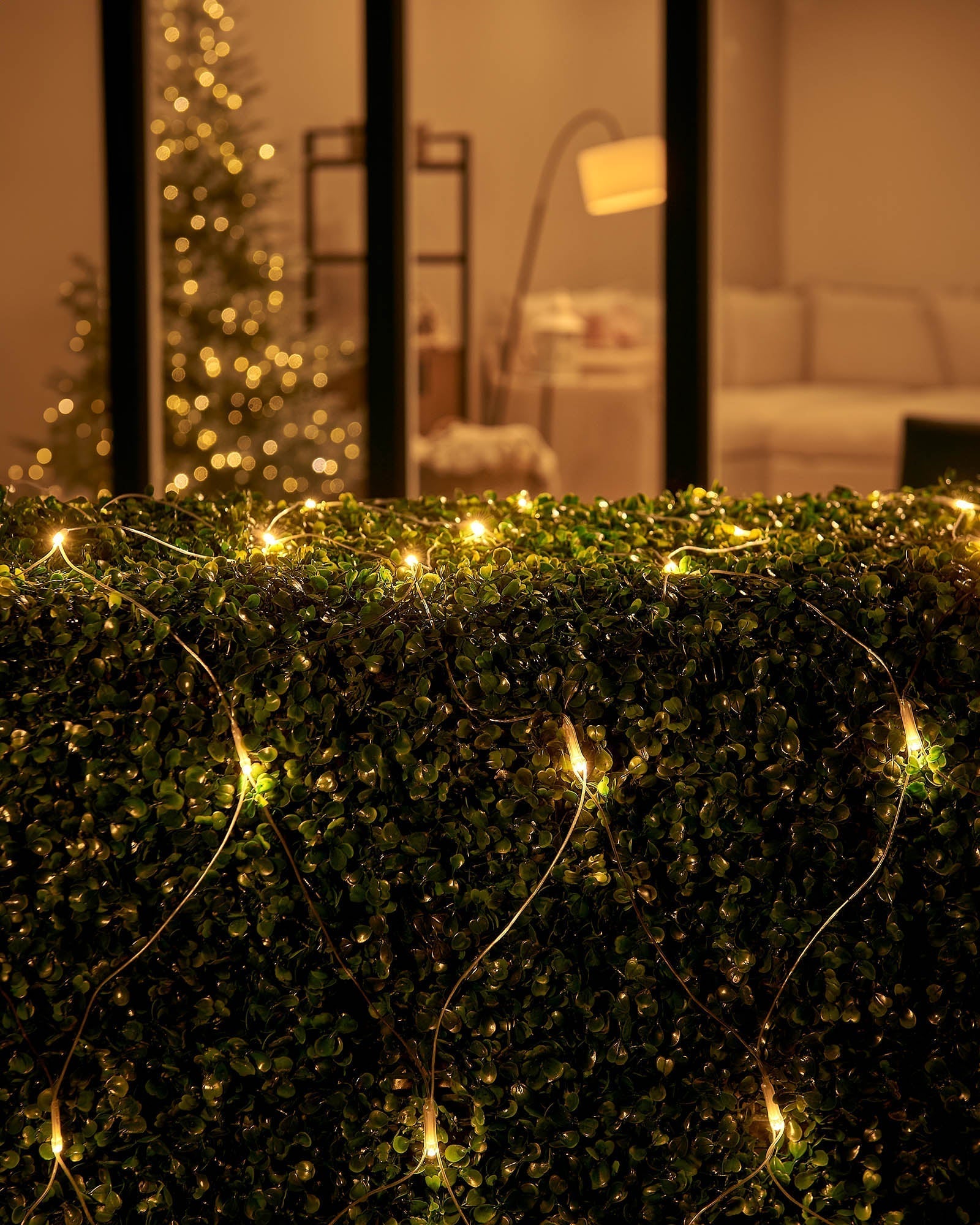A net of LED lights displaying a warm white glow, attached to a green hedge, with a decorated Christmas tree and indoor setting in the background.