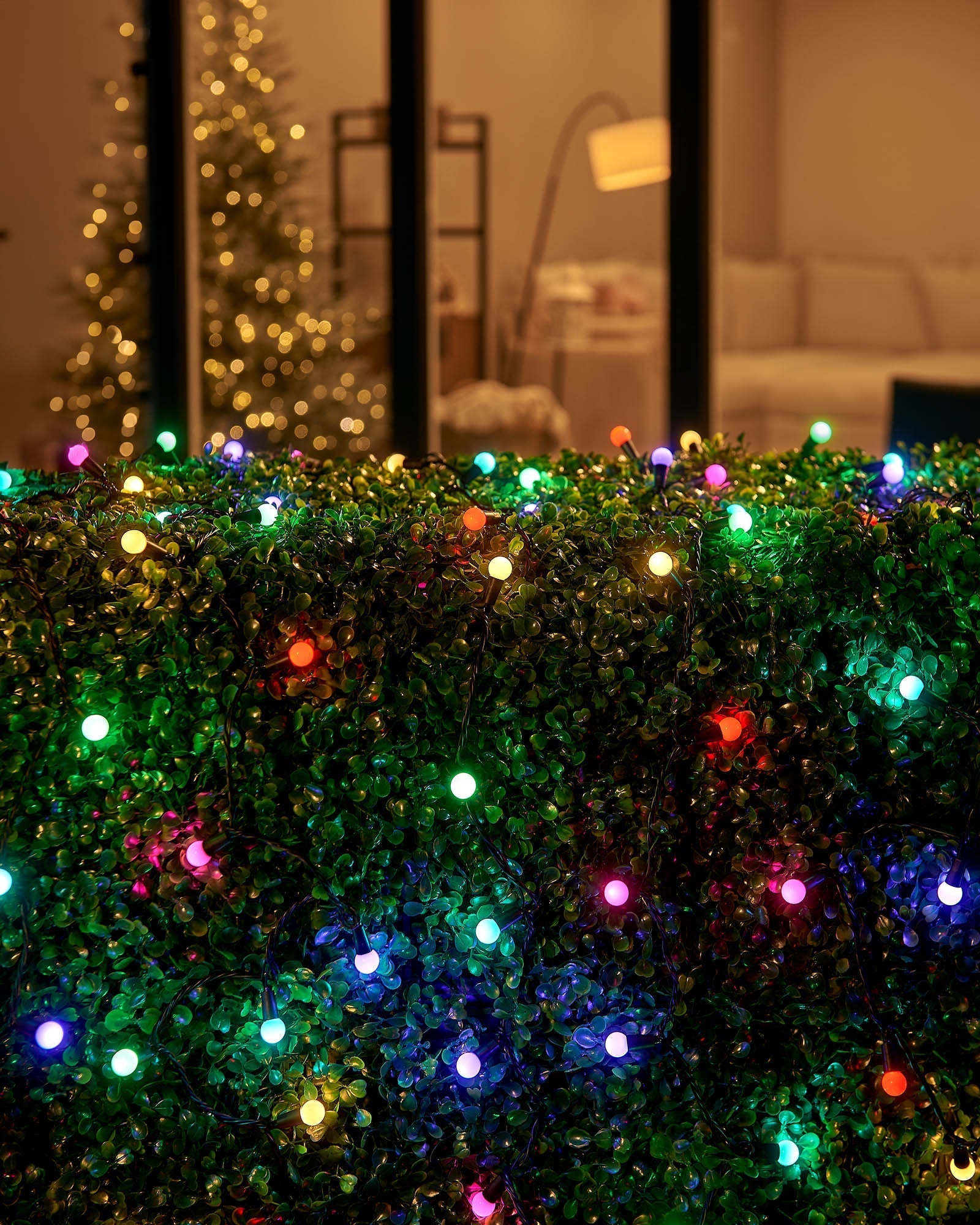 A close-up of LED berry lights with a focus on the multicolored lights, green leaves in the background.