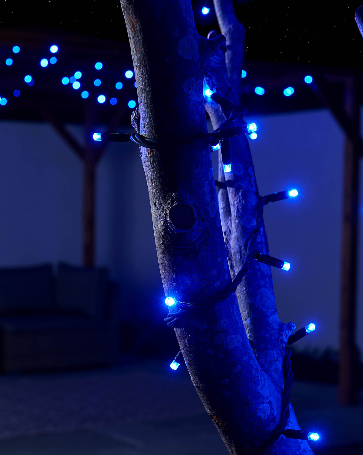LINK PRO LED String Lights, Black Cable, Blue