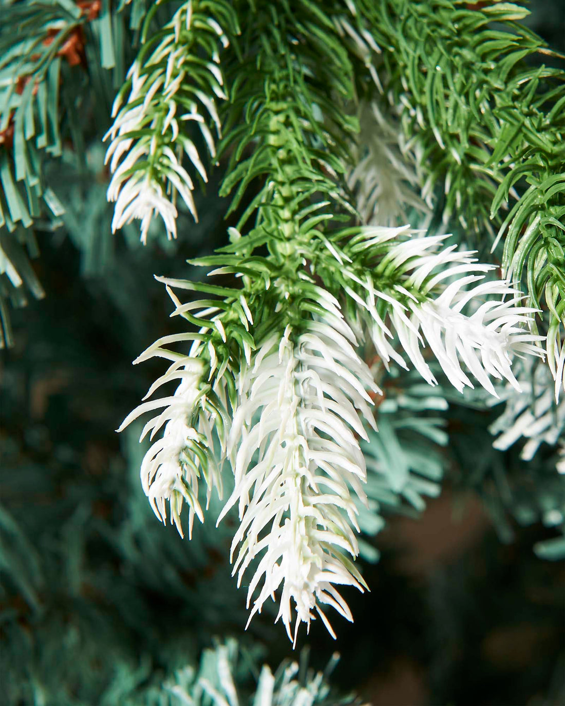Life-like Evergreen Christmas tree with white snow-flocked tips and mixed cool green and blue tones, featuring hinged branches for easy assembly and storage—perfect for creating a trendy, rustic festive display indoors.