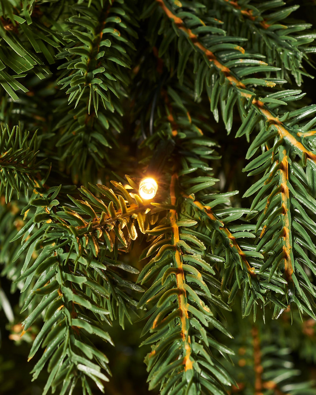 300 Warm White LEDs
