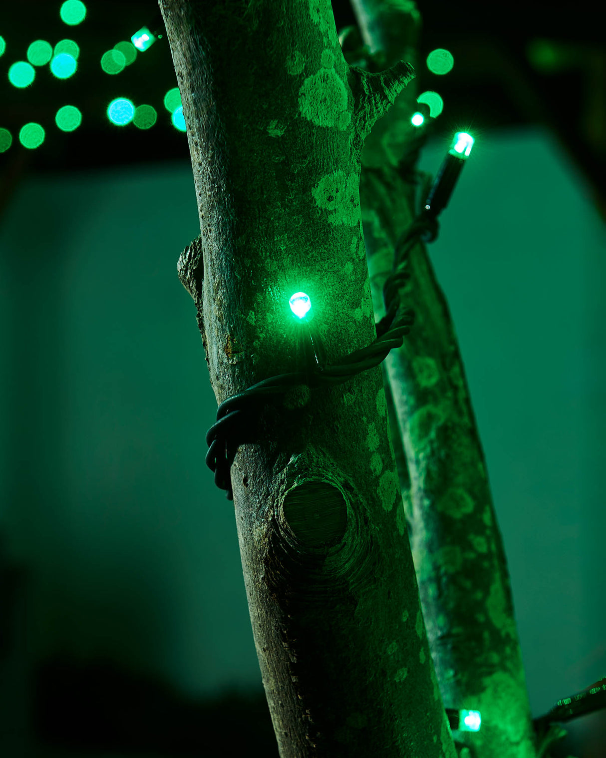 LINK PRO LED String Lights, Black Cable, Green