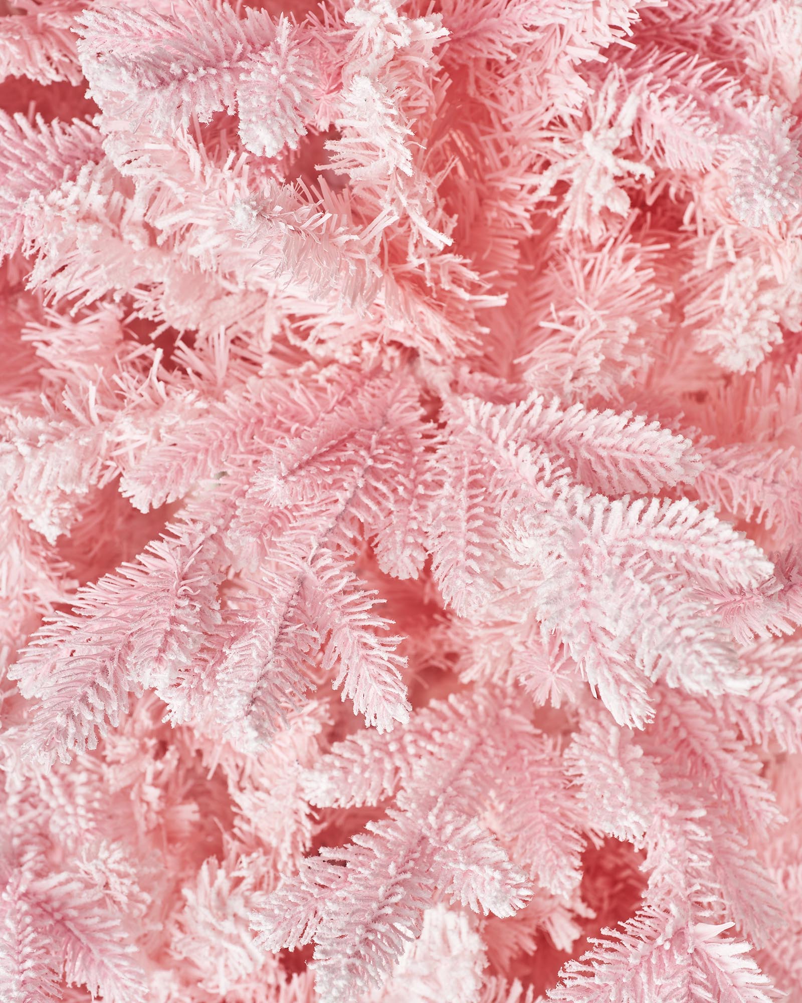A 7-foot tall artificial pink Christmas tree with snow-flocked PE and PVC tips, set up in a room with white walls and a foldable base.