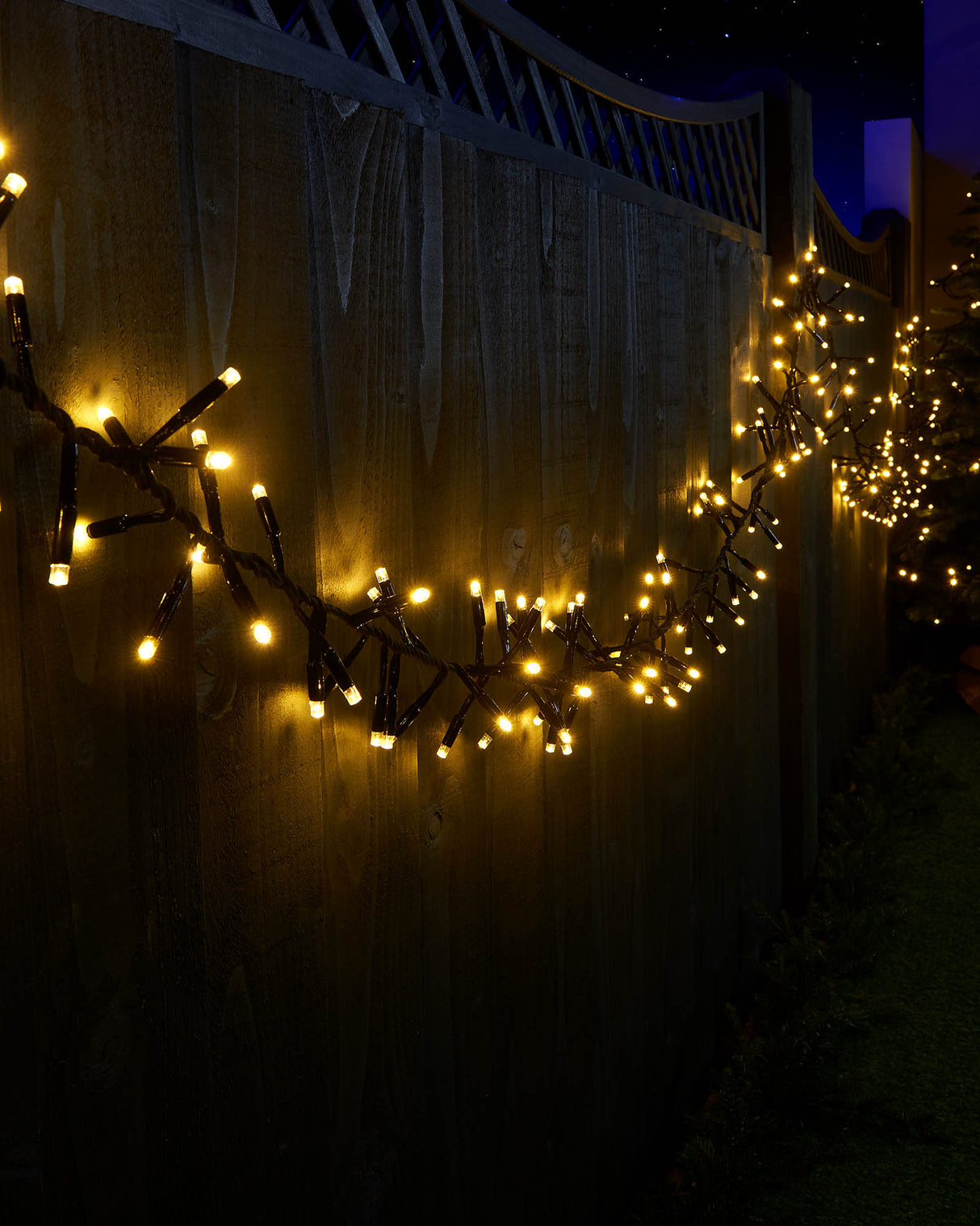 LINK PRO LED Cluster Lights, Black Cable, Warm White