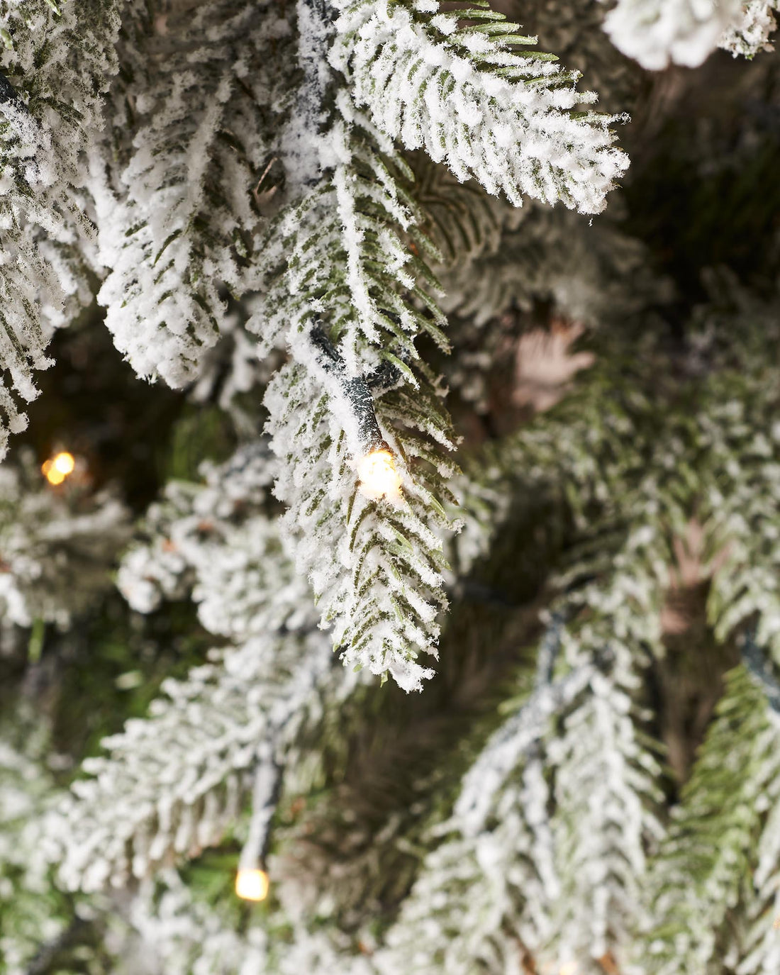 250 Warm White LEDs