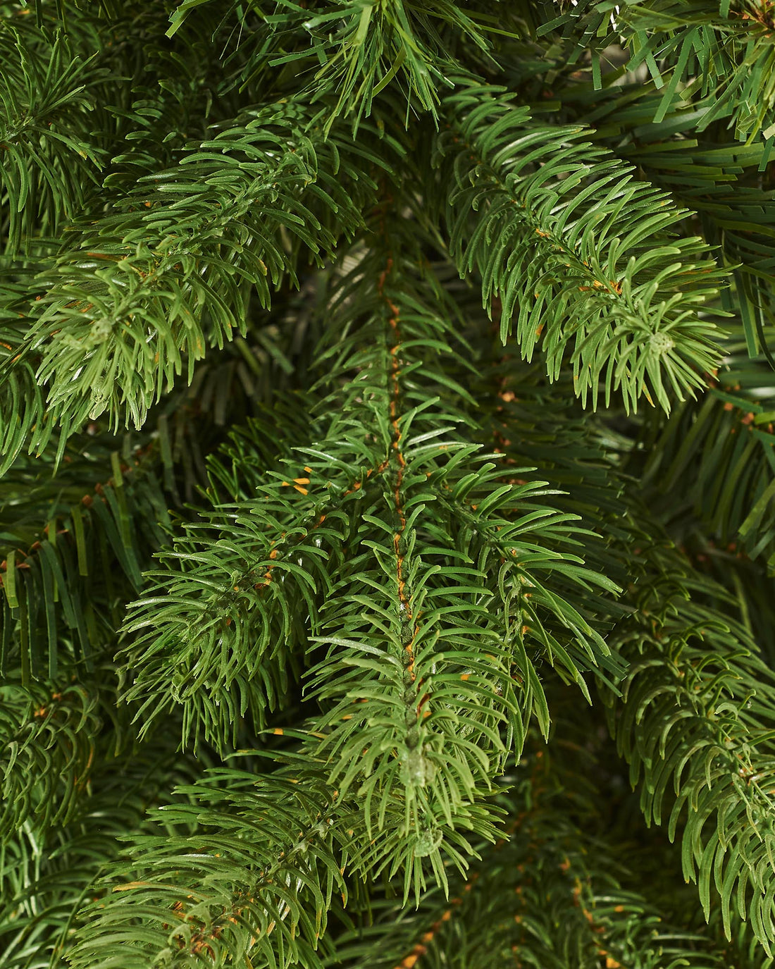 A 3-foot tall mixed pine traditional potted Christmas tree with 298 PE and PVC green tips, displayed in a black weighted square pot. The tree features realistic foliage and a compact, rustic design—ideal for small spaces and festive decorating.