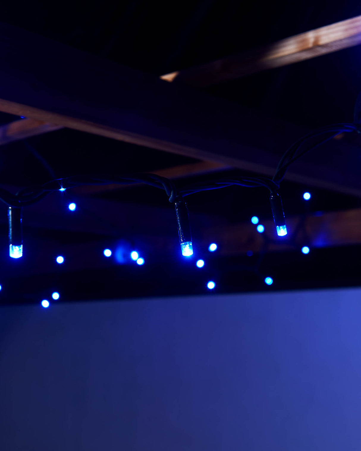 LINK PRO LED String Lights, Black Cable, Blue