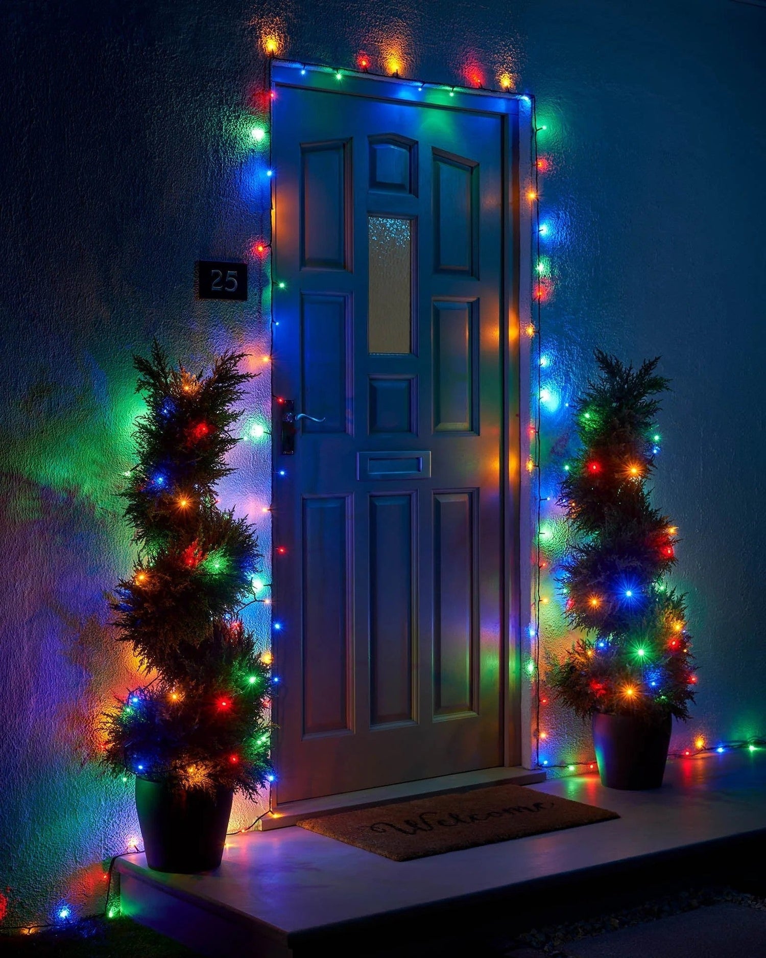 Which Outdoor Christmas Lights Should You Choose?