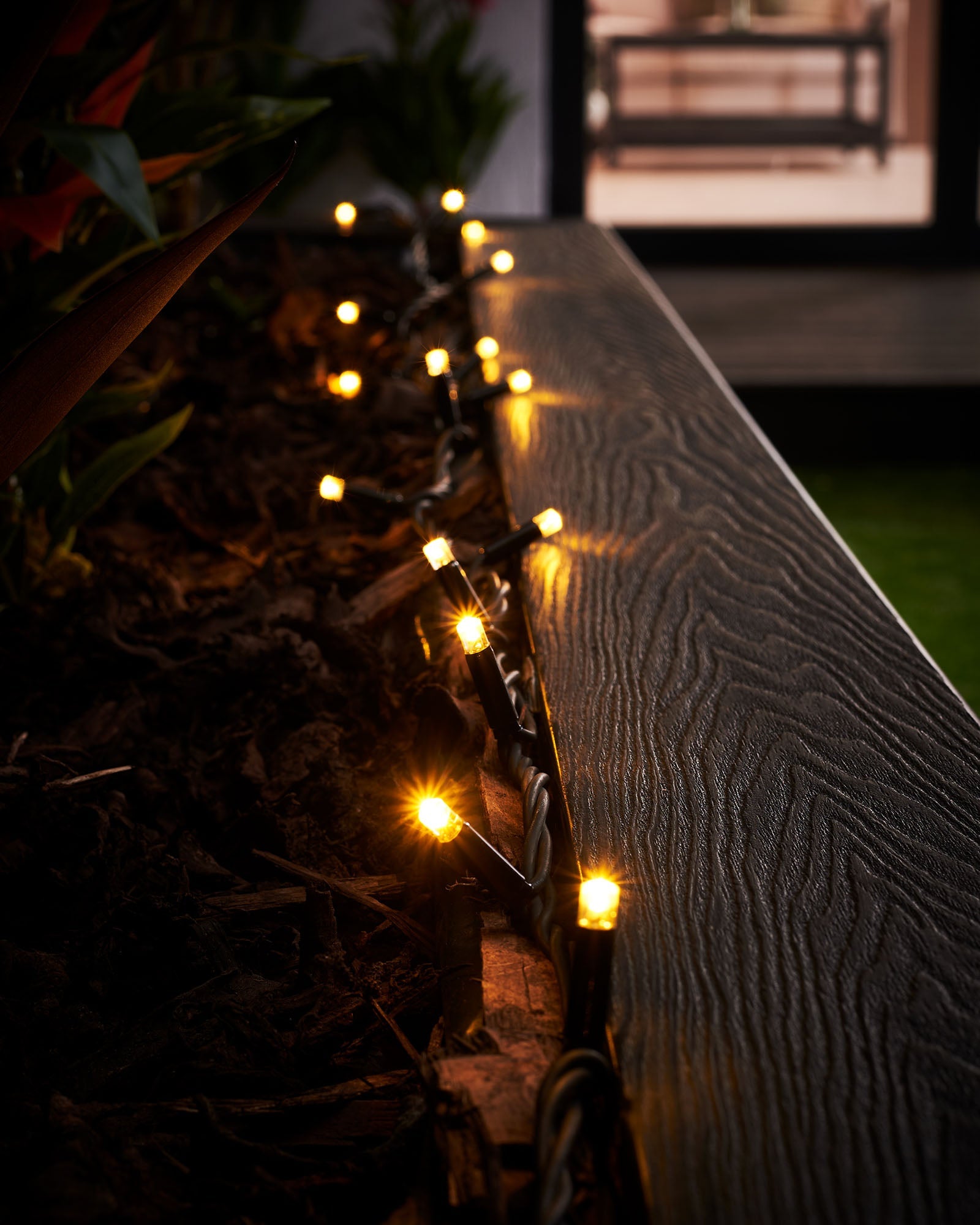 Fairy Lights - Pro Series