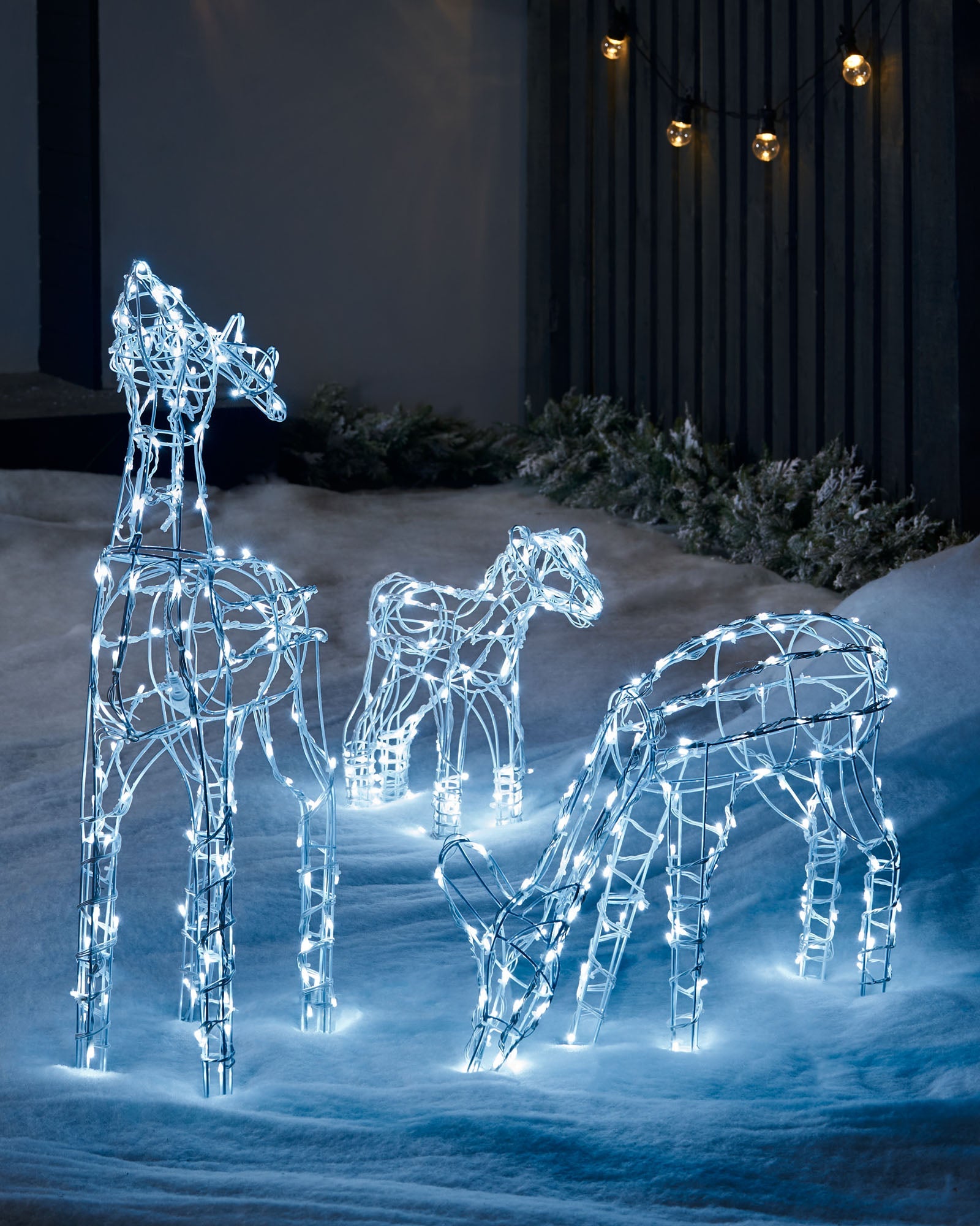 Outdoor Reindeers