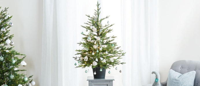 2ft - 4ft Christmas Trees