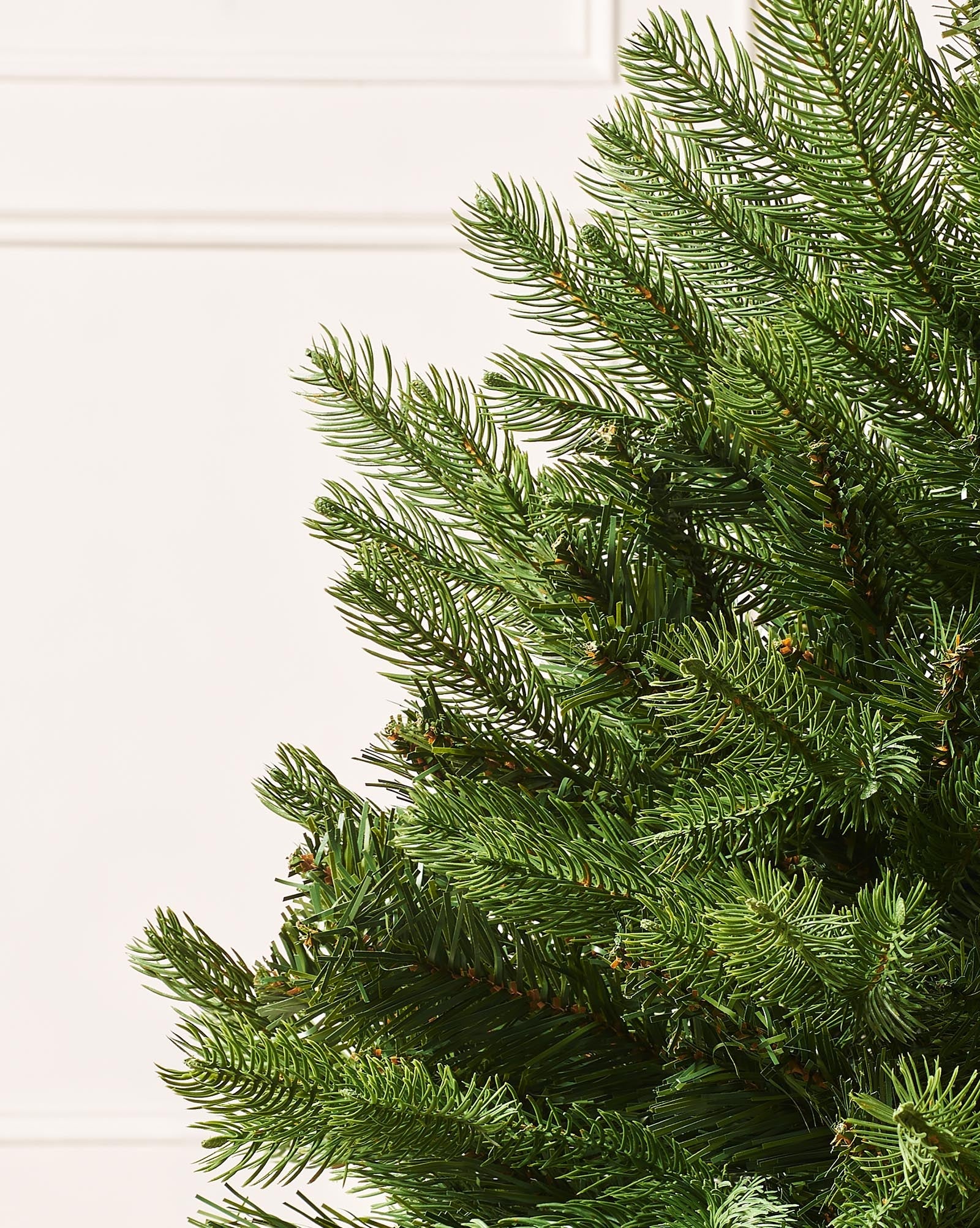 Unlit Christmas Trees