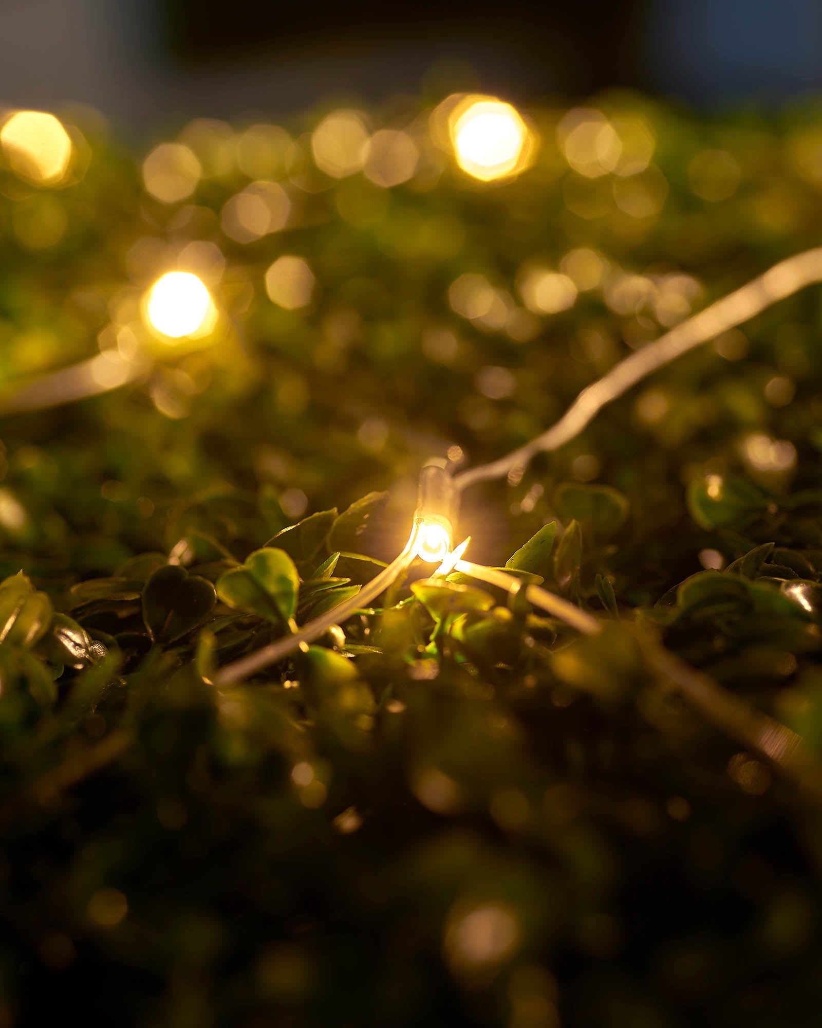 Net Lights - Home Series