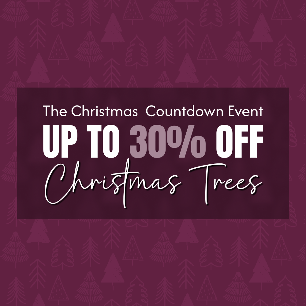 View All Christmas Trees