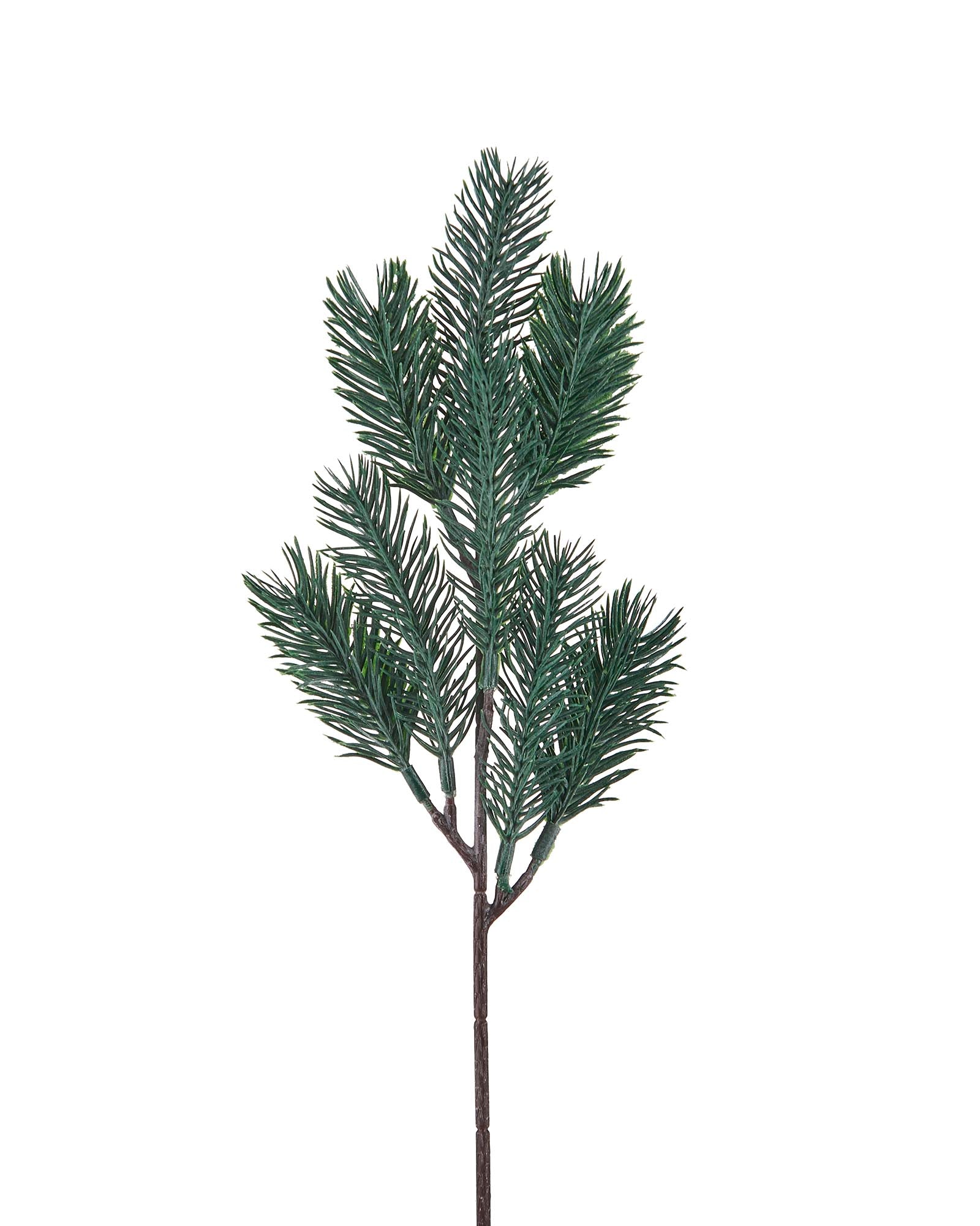 Set Of 5 Frosted Spruce Picks, 32 cm