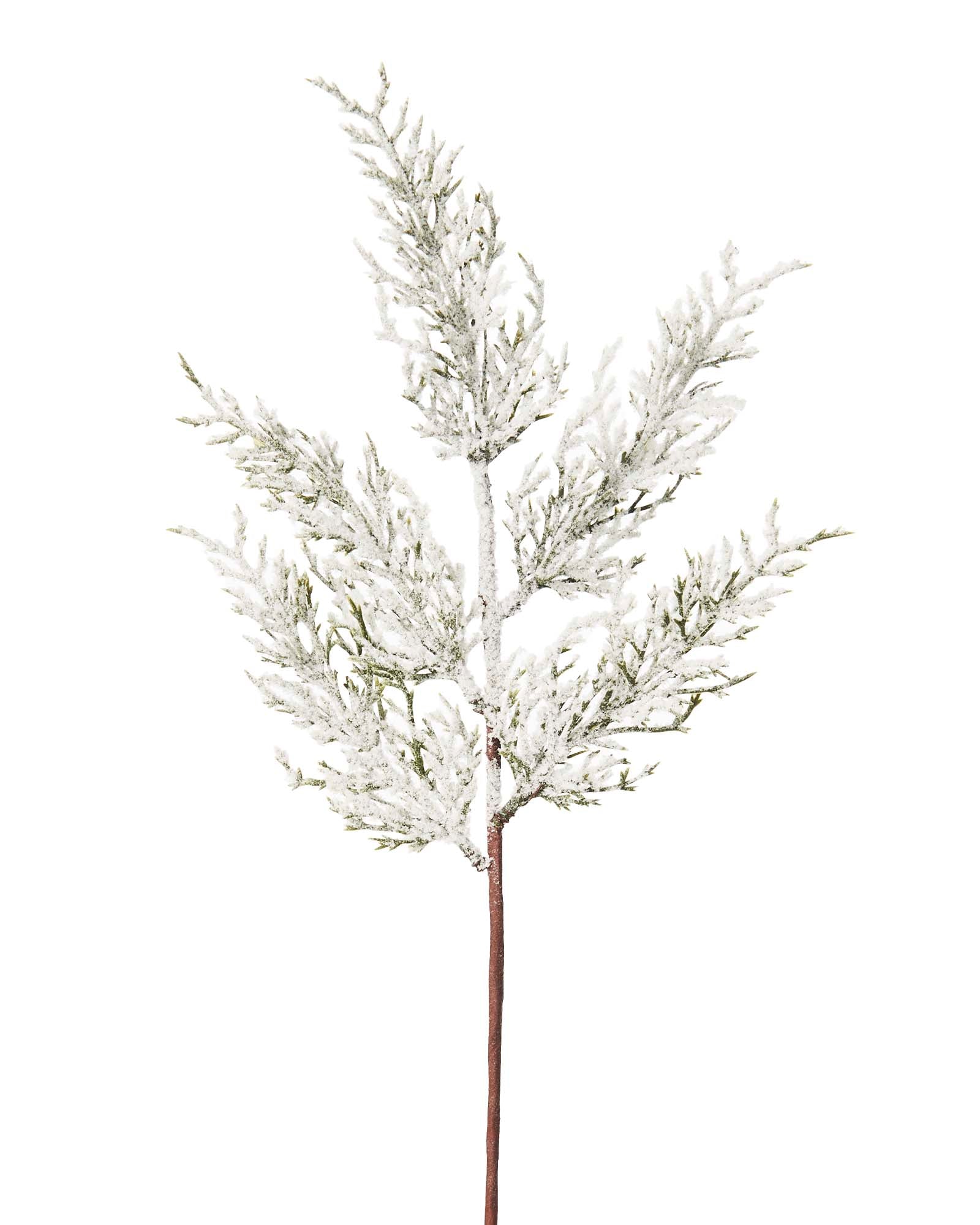 Artificial Snow Flocked Cypress Tree Pick, Set of 5, 40 cm