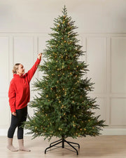 10ft pre-lit Traditional Fir Christmas tree with warm white lights shown indoors beside a person for scale.