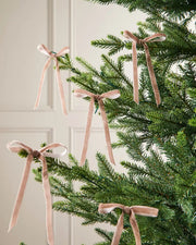 Set of mocha velvet bows attached to Christmas tree branches
