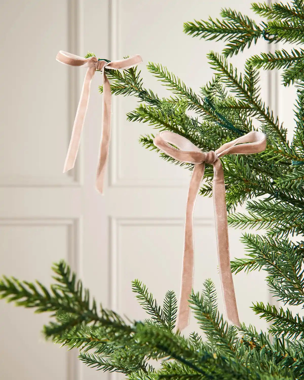 Mocha velvet bows displayed on green Christmas tree branches