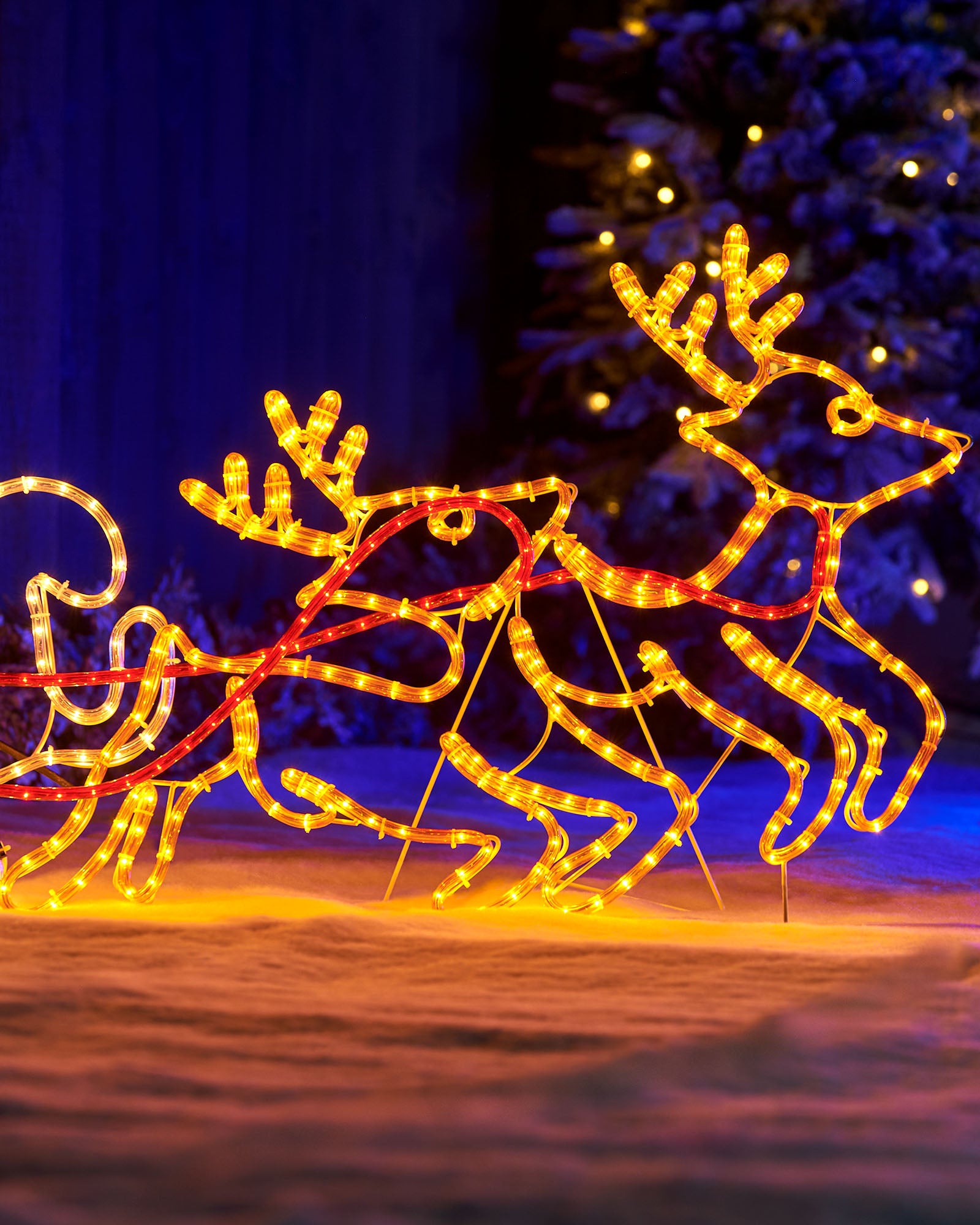 Close-up of two reindeer on a warm white and red rope light Christmas silhouette