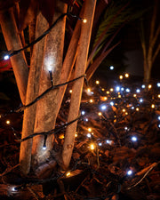 LINK Up Connectable String Lights, Warm White / White