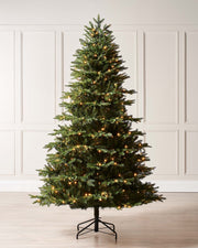 A 4 ft pre-lit potted pine and Royal Fir Christmas tree duo, both with lush green foliage. One stands in a decorative pot with dual warm white and multicolour LED lights for indoor or outdoor use; the other features multi-function warm white LED lights on a metal stand, displayed against a white background.