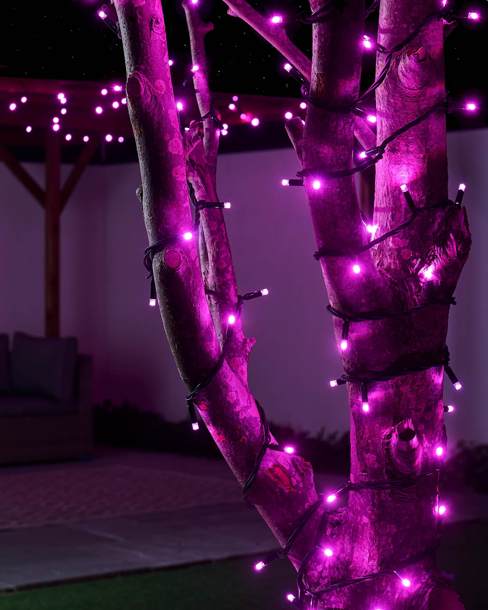 240v Pro Series  LED String Lights, Black Cable, Pink