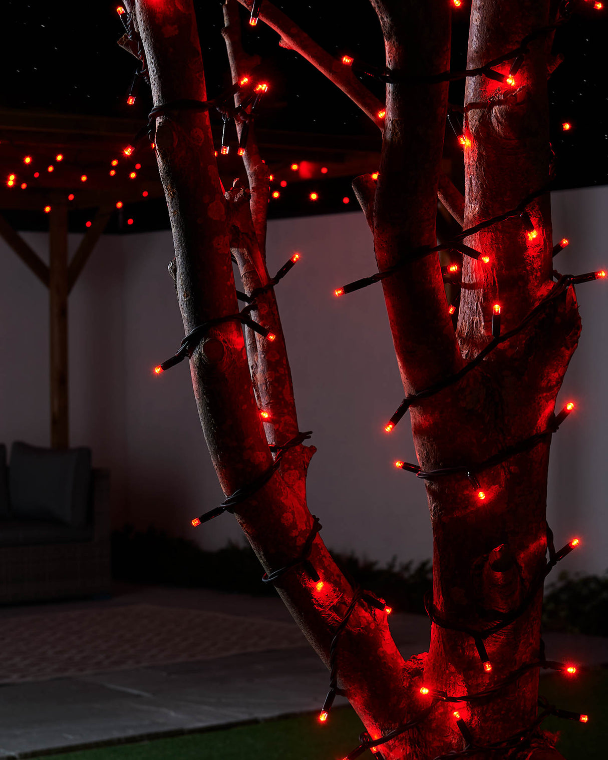 LINK PRO LED String Lights, Black Cable, Red