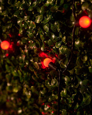 LINK Up Connectable Berry Lights, Red