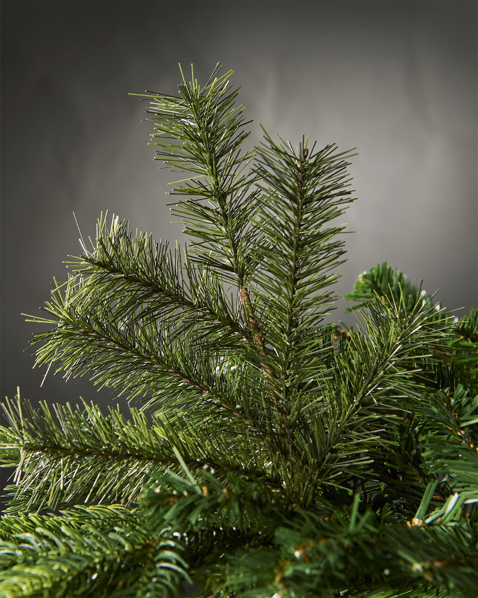 Set of 5 Pine Pick, 28 cm