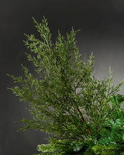 Cedar Pine Pick, 70 cm