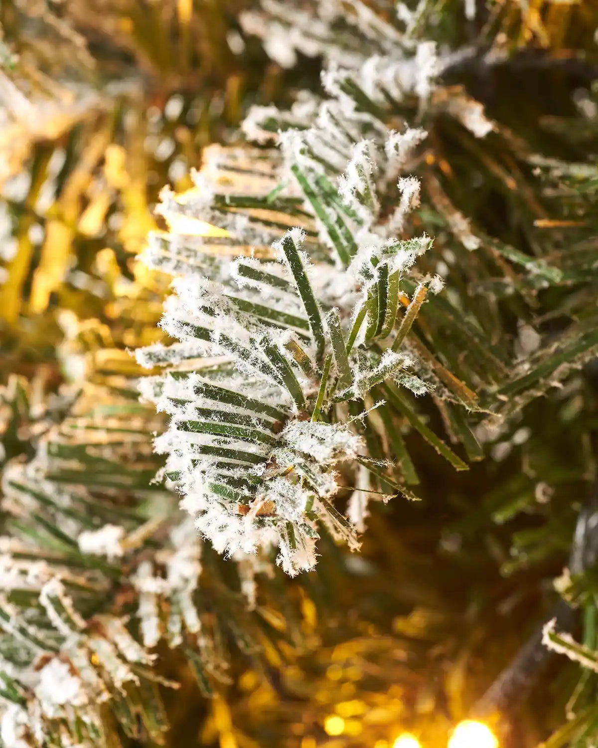 Detailed close-up of snow-flocked needles and warm white LED lights
