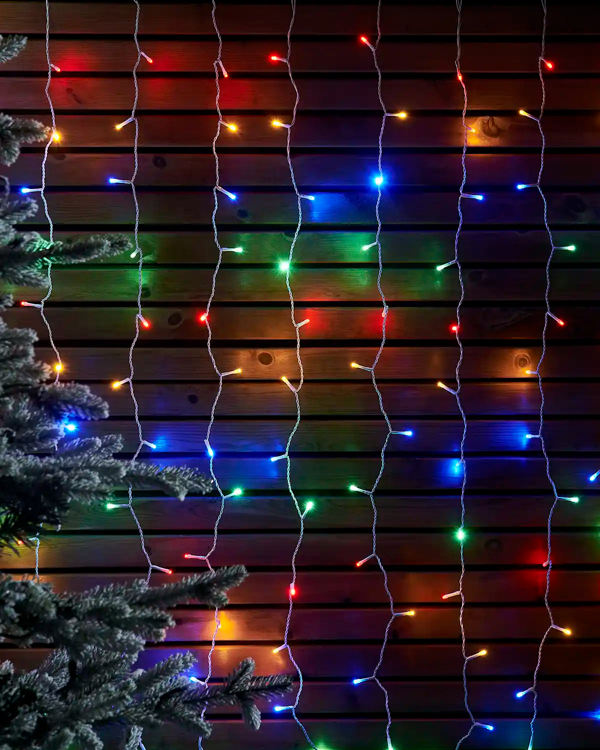 Multi colour curtain lights on white cable hanging against a wooden wall beside a frosted tree.
