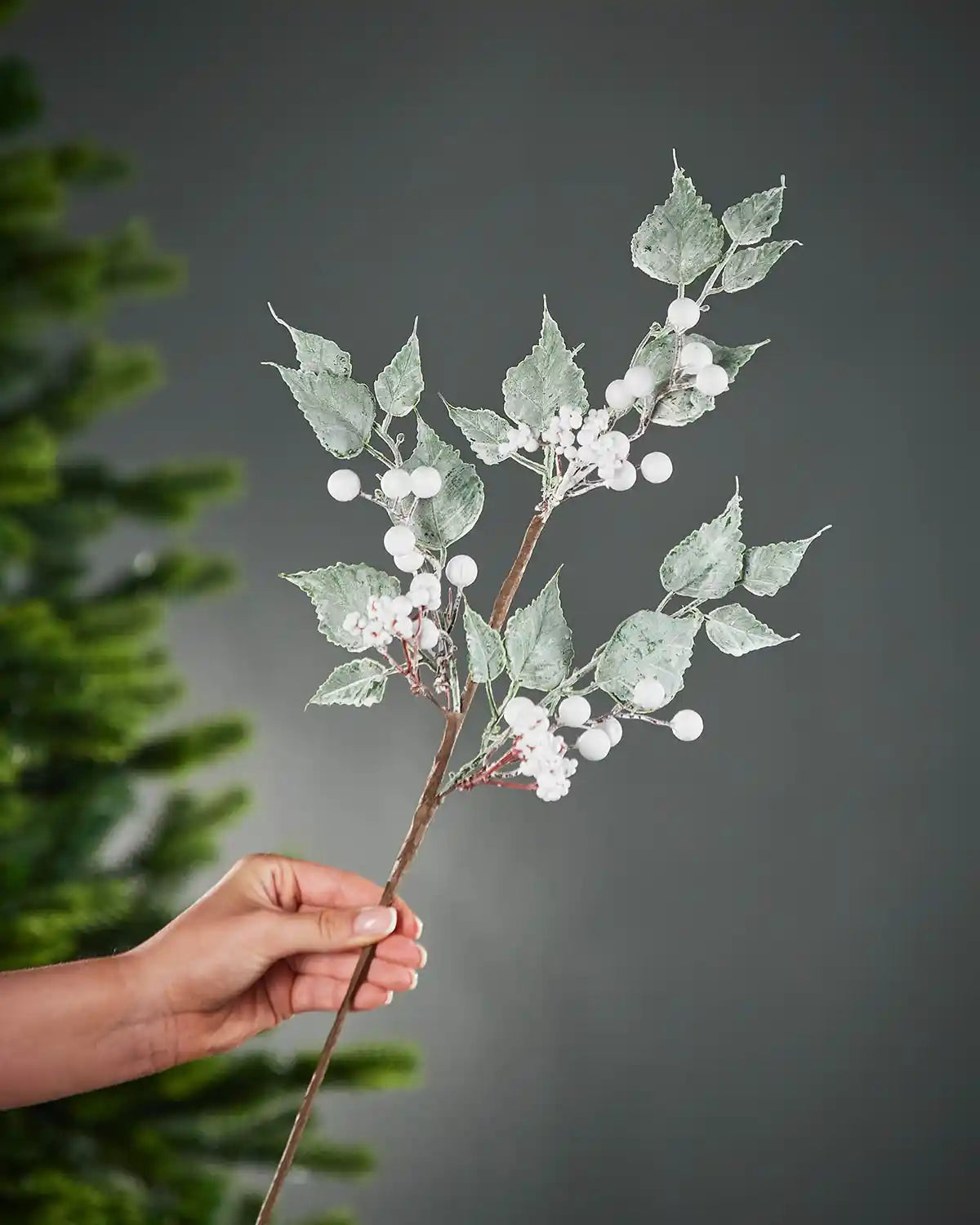 25 cm white artificial frosted berries pick held beside a Christmas tree