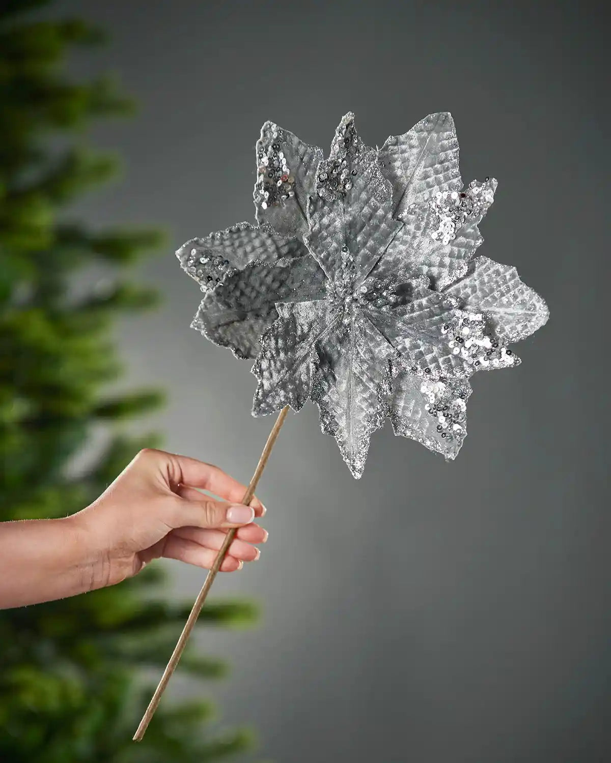 29 cm silver artificial poinsettia flower held beside a Christmas tree