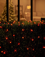 Home Series Connectable Berry Lights, Red