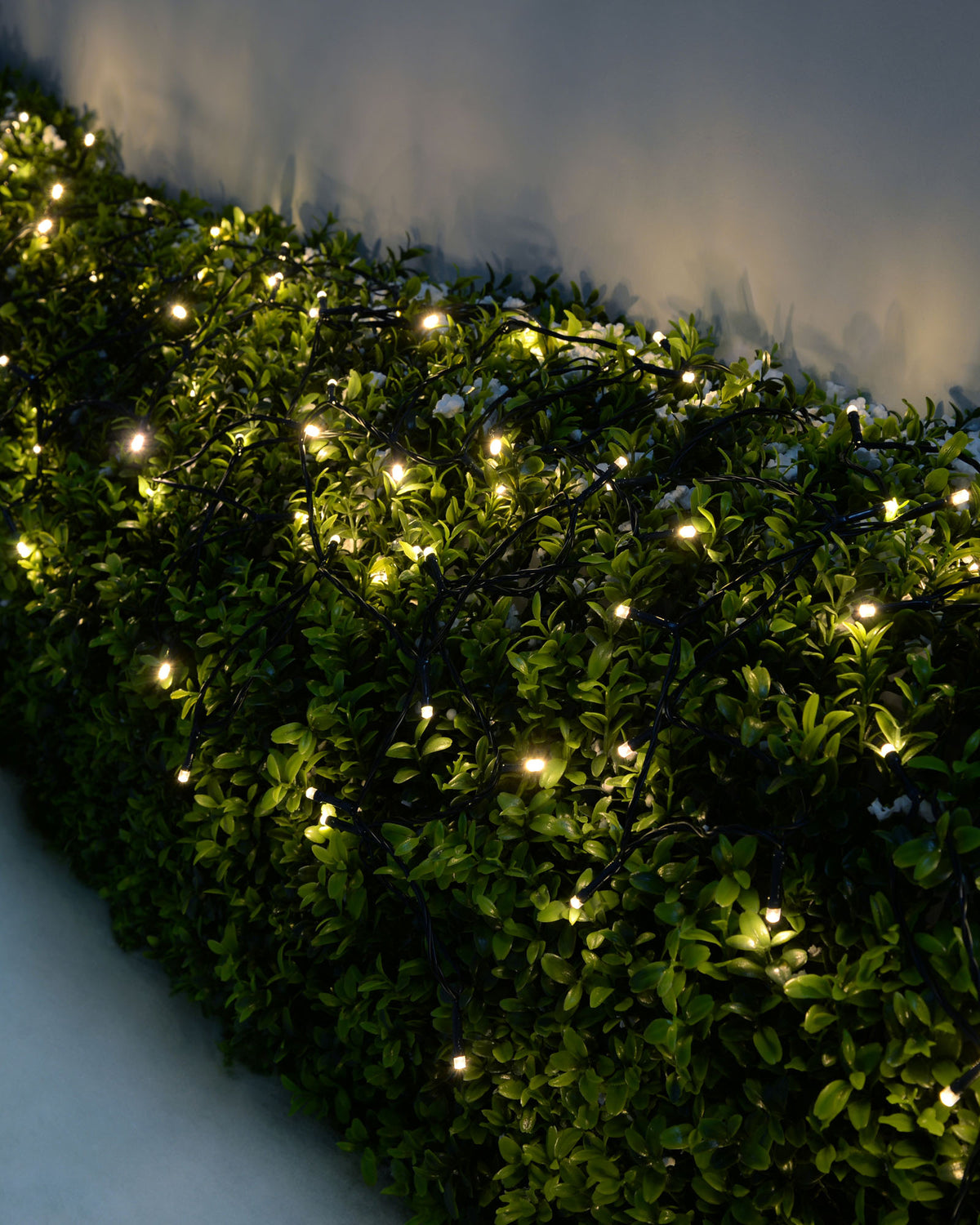 Battery Operated Multi-Function LED Lights, 40 m