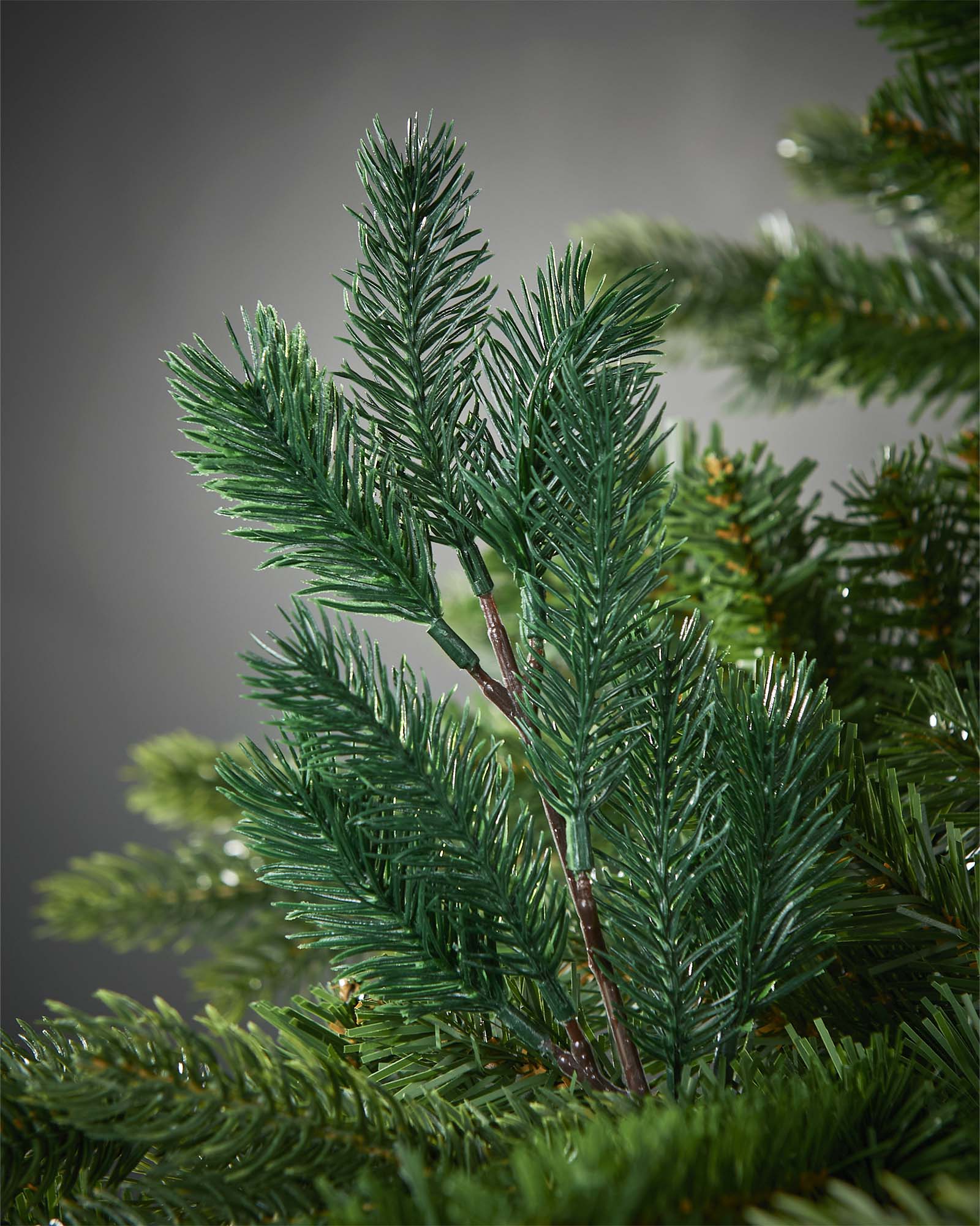 Set of 5 Natural Spruce Picks, 32 cm
