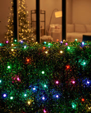 A close-up of LED berry lights with a focus on the multicolored lights, green leaves in the background.