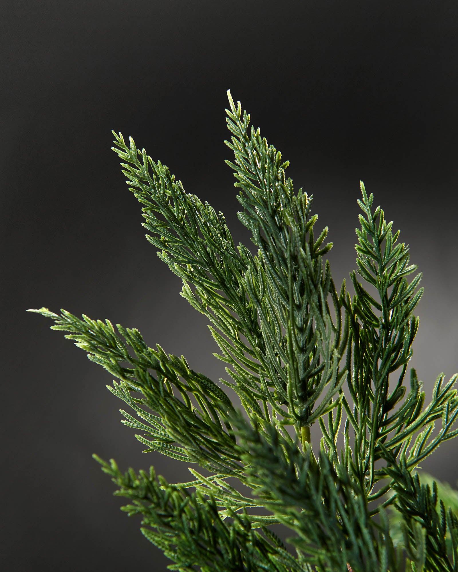 Natural Pine Christmas Tree Pick, 61 cm