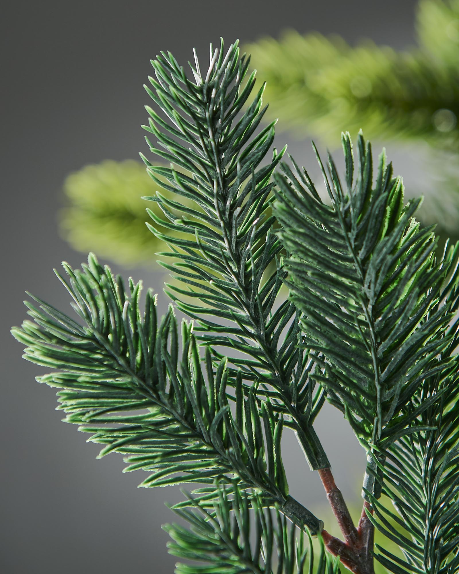 Set Of 5 Frosted Spruce Picks, 32 cm