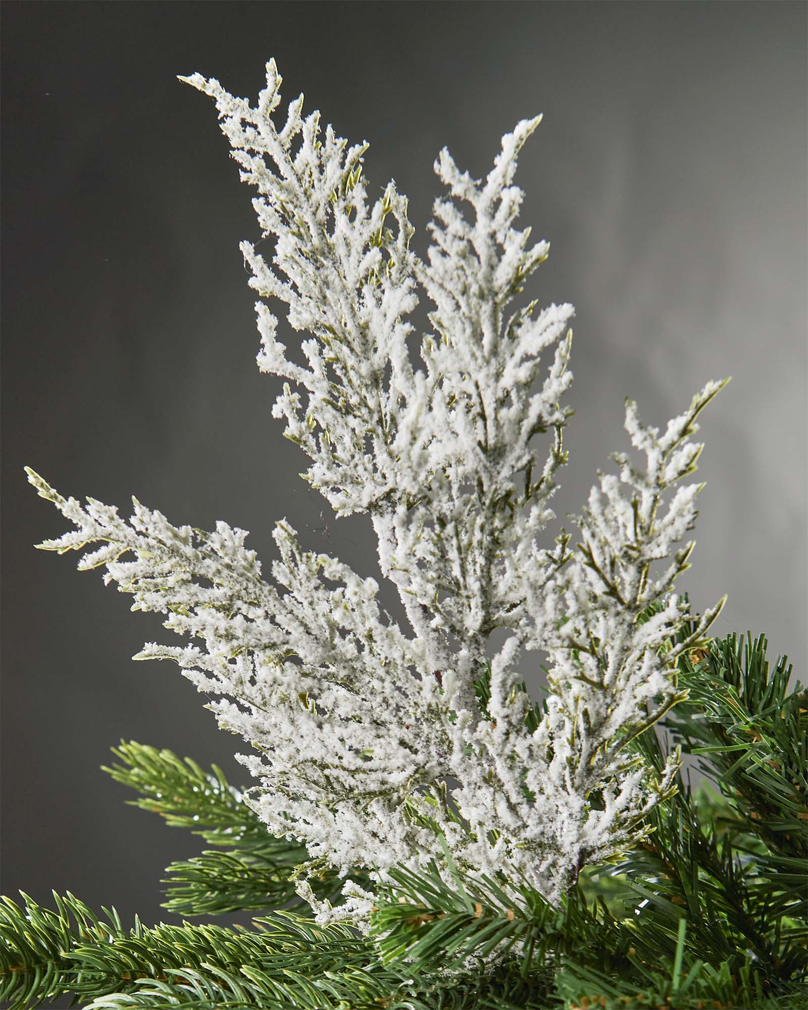 Set of 5 Snow-Flocked Cypress Picks, 40 cm