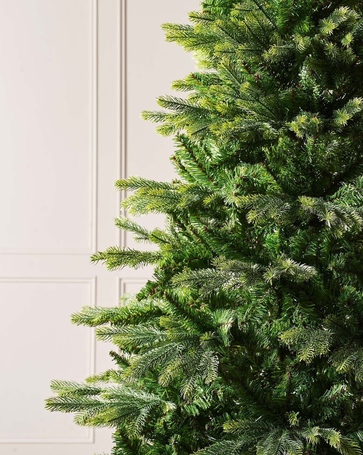 Himalayan Fir Christmas Tree, 8 ft