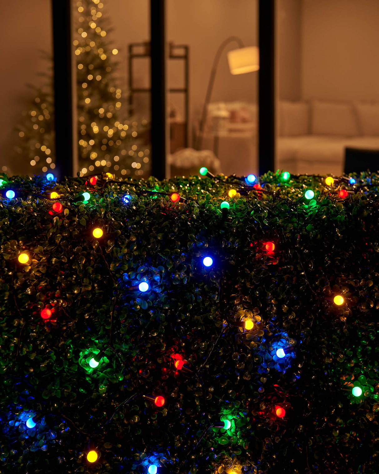 LINK UP LED Berry Lights, Black Cable, Multi Colour