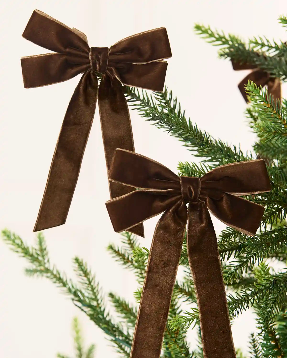 2 Mocha velvet Double Bows placed on a Christmas tree branch tip with blurred cream background